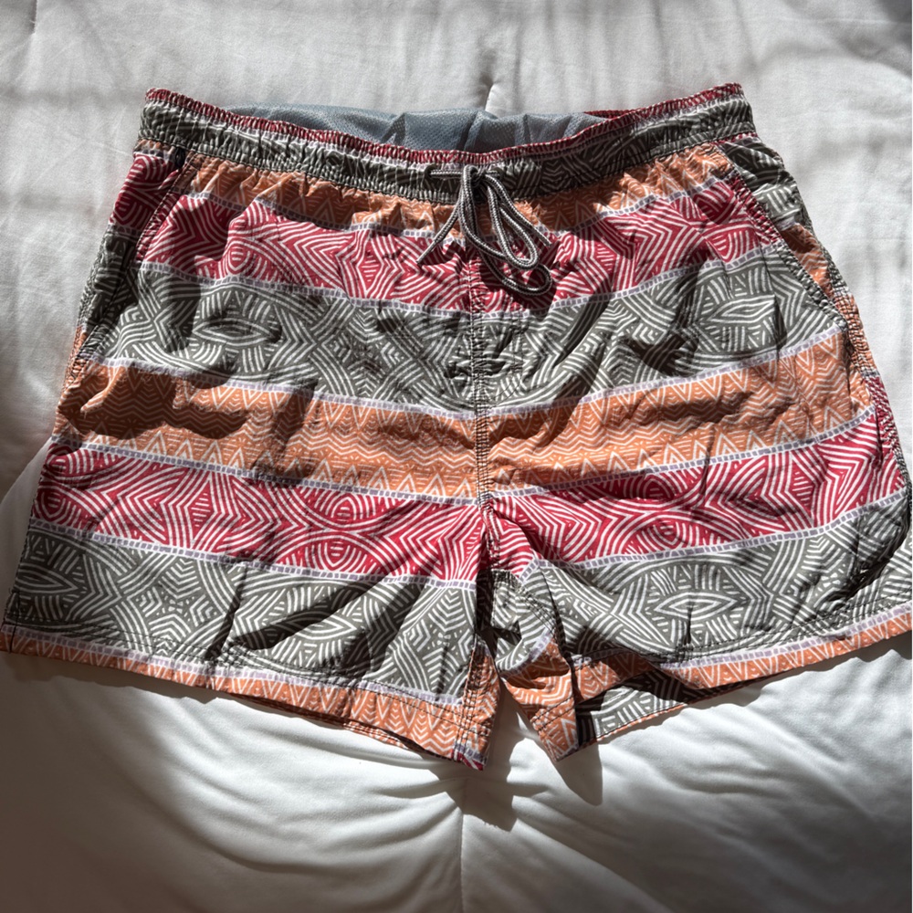 Speedo Men’s Multicolor Striped Athletic Shorts
